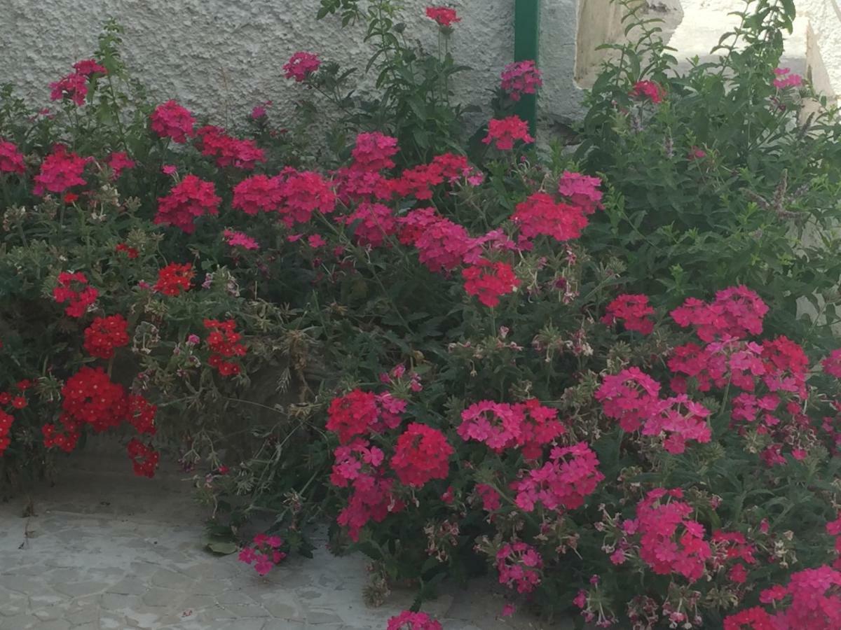 Casa Sul Mare - Wifi Free - Parcheggio Privato Apartman San Foca Kültér fotó